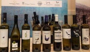 Οι Δρόμοι του Κρασιού Αθήνας αναδεικνύουν τον Αττικό αμπελώνα