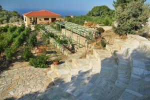 Στης Ικαρίας τις πεζούλες και τα πιθάρια