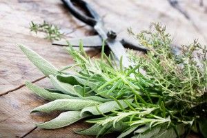 2 βότανα και 2 μπαχαρικά που αγαπούν την υγεία μας