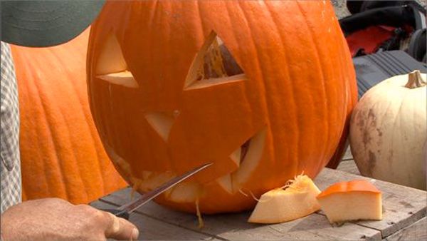 σκαλιστή κολοκύθα