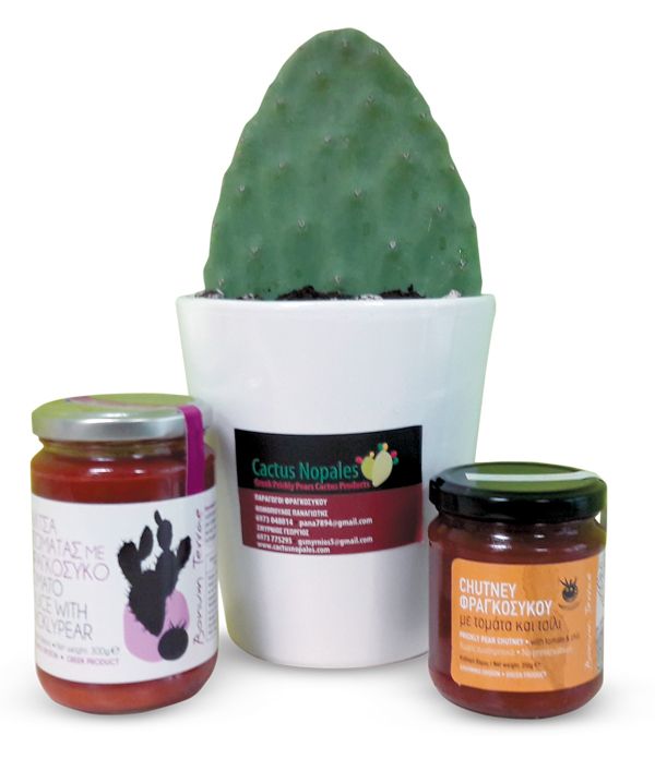 cactus