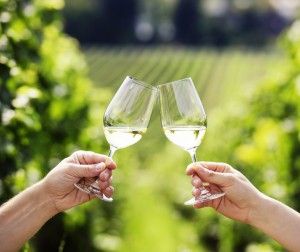 SEMELI adds a single vineyard Gewürztraminer to its white wine portfolio!