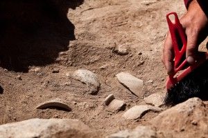 Ανακαλύφθηκαν ίχνη κρασιού ηλικίας 8.000 ετών!
