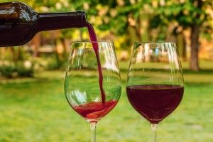 Βρετανία: Οινοποιία δίνει λεφτά και κρασί στον 1ο που θα δοκιμάσει όλο το κρασί της χρονιάς!