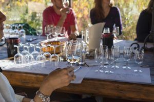 Μια μέρα στο κτήμα: Το φιλανθρωπικό Bazaar στο κτήμα Κοκοτού