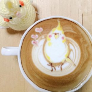 parrot latte
