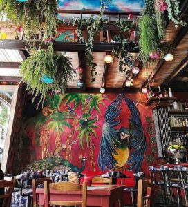 Gypsy Jungle: Μία ζούγκλα ξεφύτρωσε στην πλατεία Αγίας Ειρήνης