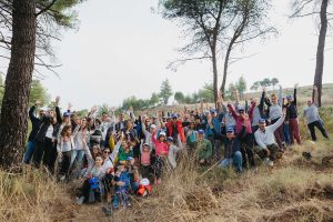Η Μέλισσα βοηθάει στην αναδάσωση των καμένων