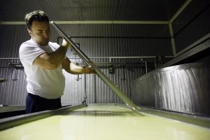 Κασέρι με μαύρο σκόρδο ή με κάνναβη; Ένα τυροκομείο στη Μαγνησία μάς βάζει τα γυαλιά…