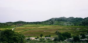 Οι πιο περιζήτητες -και ανώτερες διατροφικά- φακές στην Ελλάδα καλλιεργούνται στη Λευκάδα!