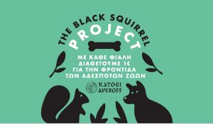 «The Black Squirrel Project»: Το Κατώγι Αβέρωφ στηρίζει τα αδέσποτα του Μετσόβου