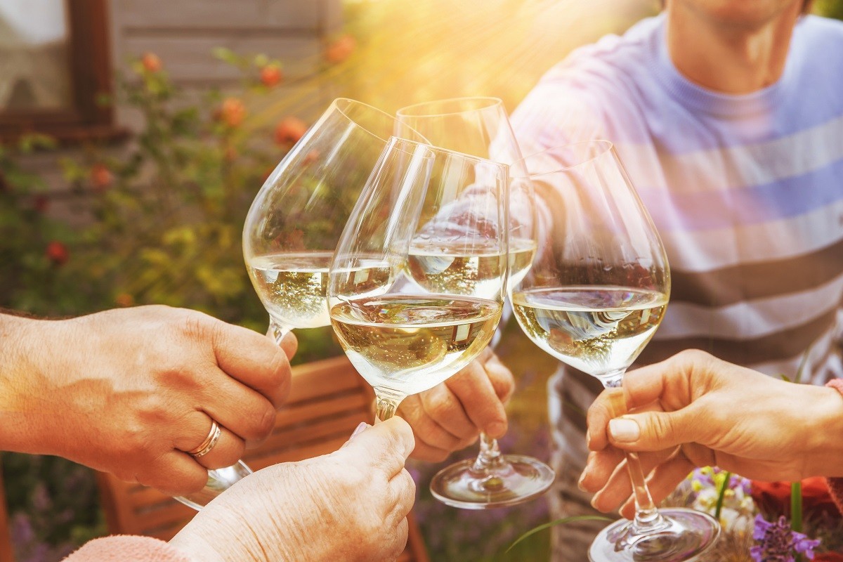 Family of different ages people cheerfully celebrate outdoors with glasses of white wine, proclaim toast People having dinner in a home garden in summer sunlight.