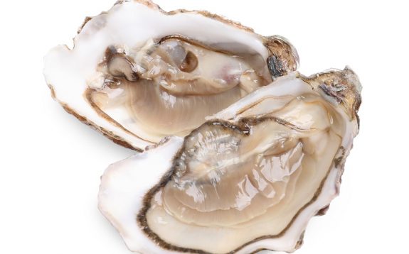 Fresh raw open oysters on white background