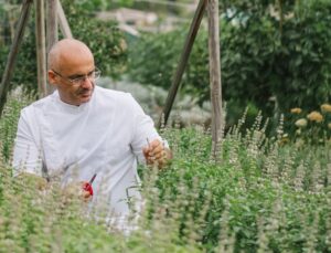 H ιστορία πίσω από τον κήπο στο Αλεποχώρι που πήρε το πράσινο αστέρι Michelin