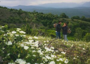 Nomad Honey: Βραβευμένη νομαδική μελισσοκομία στη χαράδρα του Βίκου