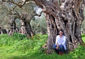 Γευσιγνωσία ελαιολάδου στην Καλαμάτα: μια αυθεντική εμπειρία γνώσης με τον ελαιώνα
