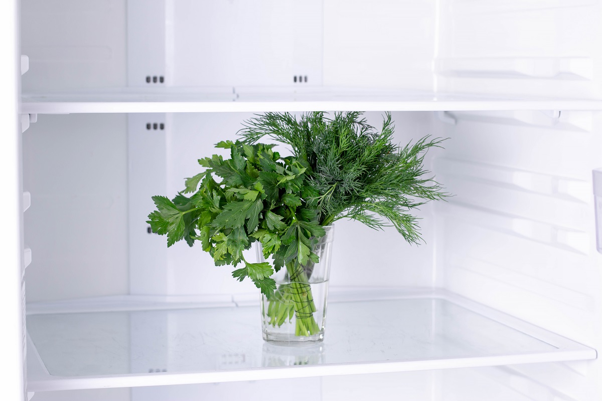 Green,Fresh,Parsley,And,Dill,In,Water,In,Refrigerator.,Open