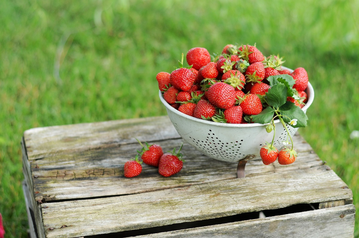 Strawberries_MyMarket