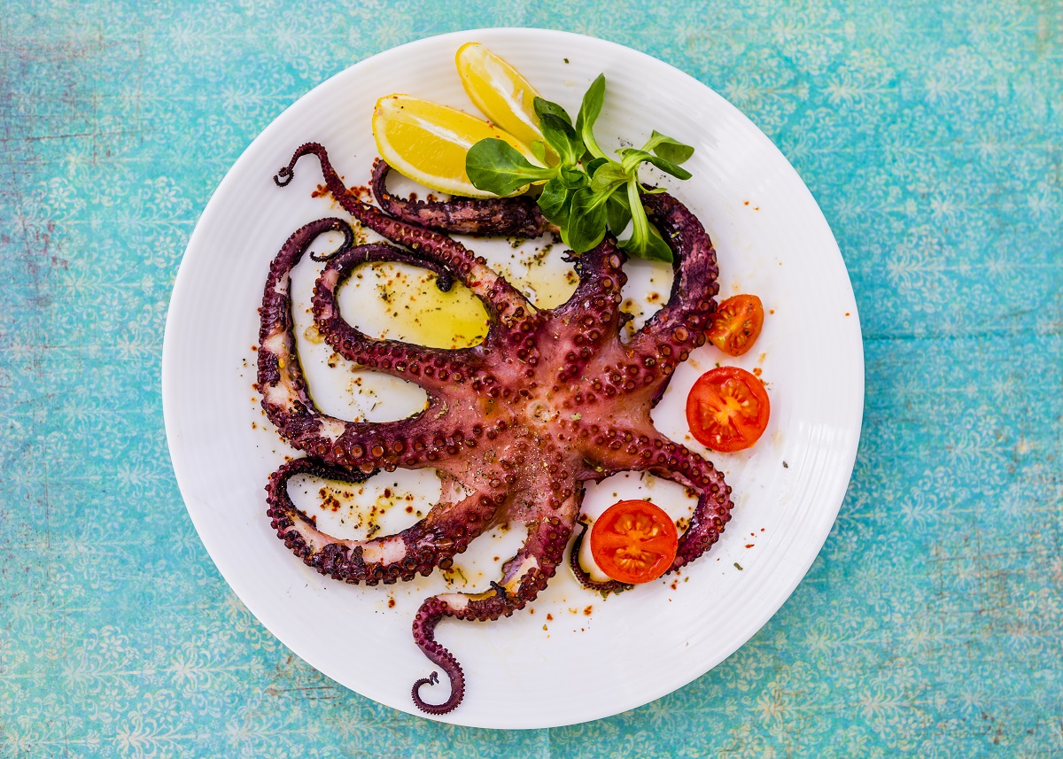 Grilled,Octopus,On,White,Plate.,Greek,Dish.