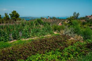 Το μποστάνι στις Σπέτσες με τις λευκές κότες, τα μελίσσια, τα φρέσκα λαχανικά και την υπέροχη θέα
