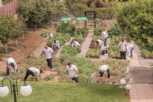 Πώς να φτιάξετε το δικό σας περιβόλι στην αυλή ή τη βεράντα σας