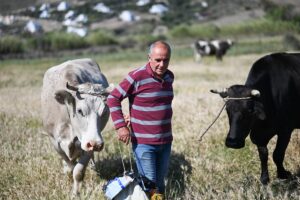 Αδελφοί Τριδήμα: Οι αλλαντοποιοί της Άνδρου
