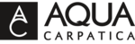 LOGO-Carpatica copy 2