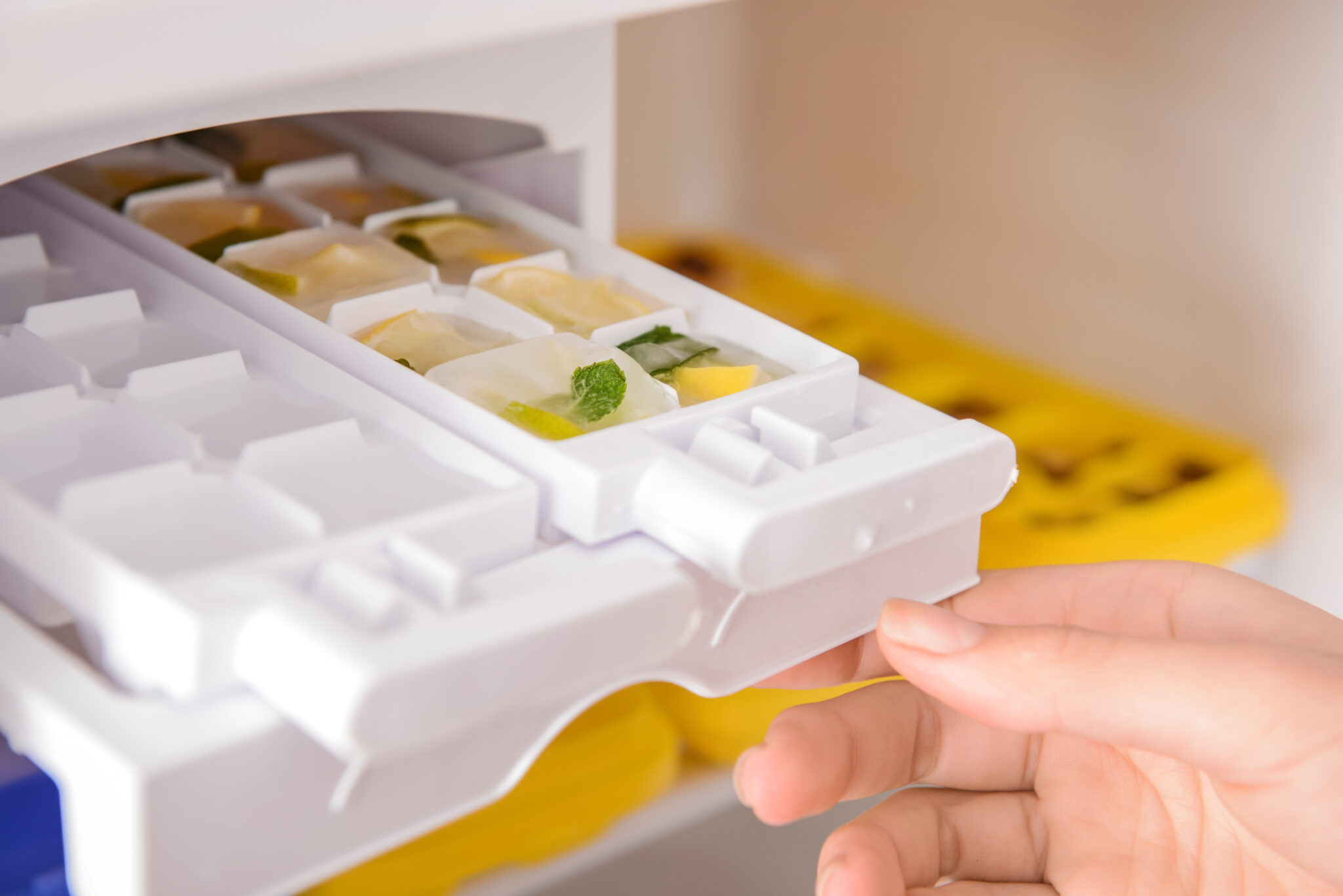 Woman,Putting,Tray,With,Citrus,Fruits,Frozen,In,Ice,Cubes