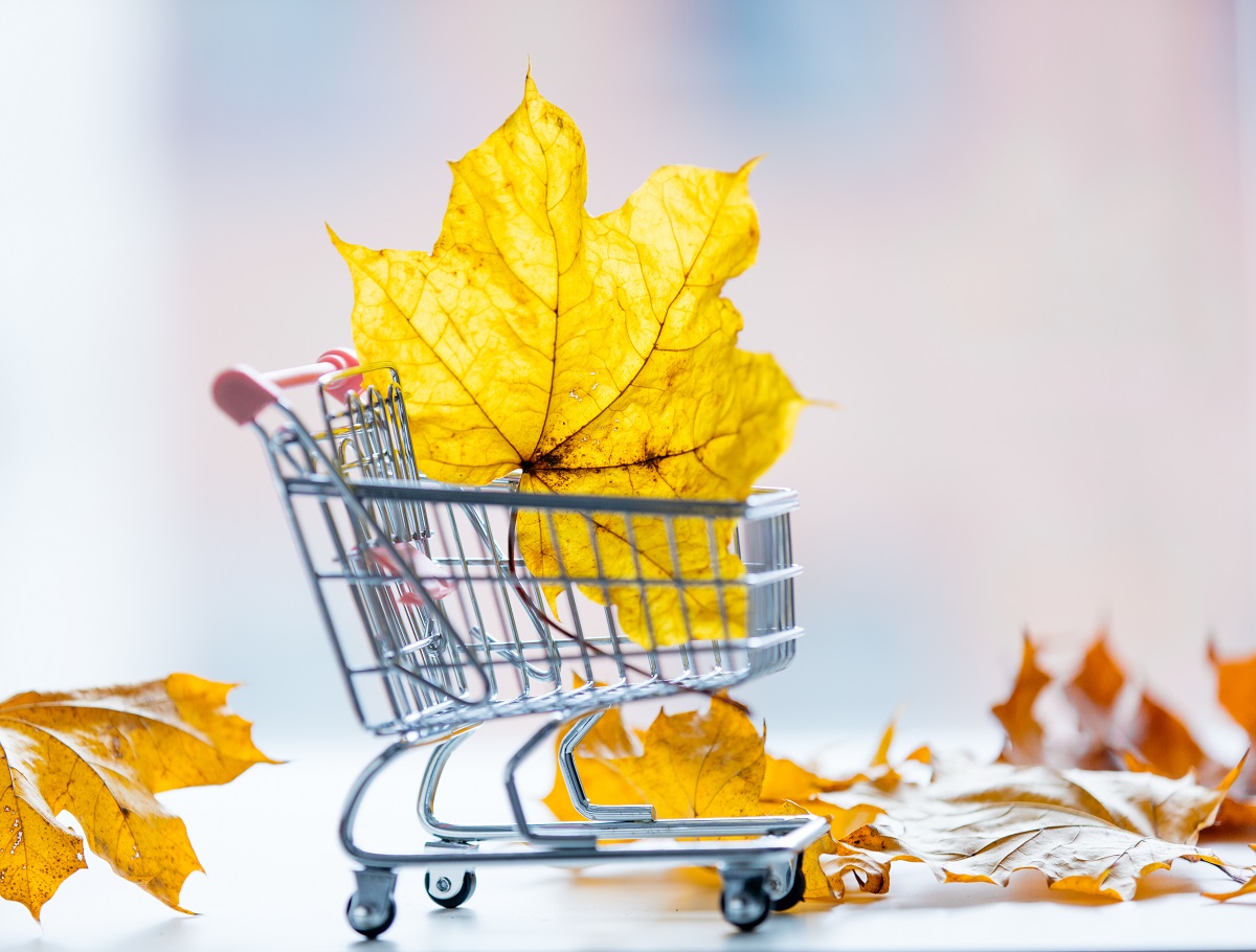 Cart,With,Leaves,On,Bokeh,Background