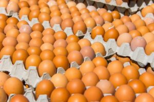 Αυγά: Τι πρέπει να προσέχετε, κατά την αγορά τους, σύμφωνα με τον ΕΦΕΤ