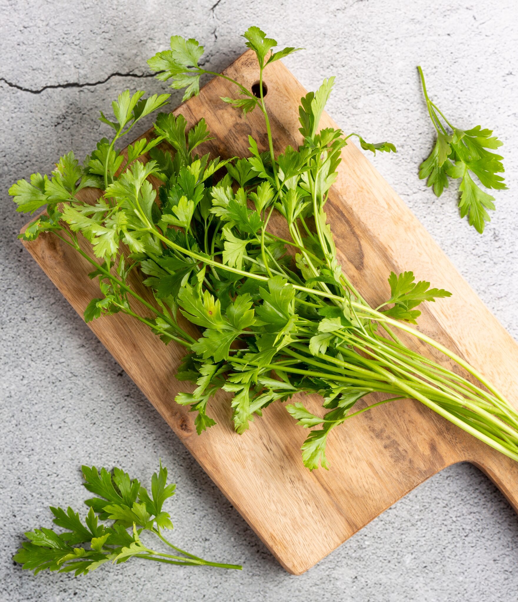 Fresh,Italian,Parsley,On,The,Table.,Green,Parsley.