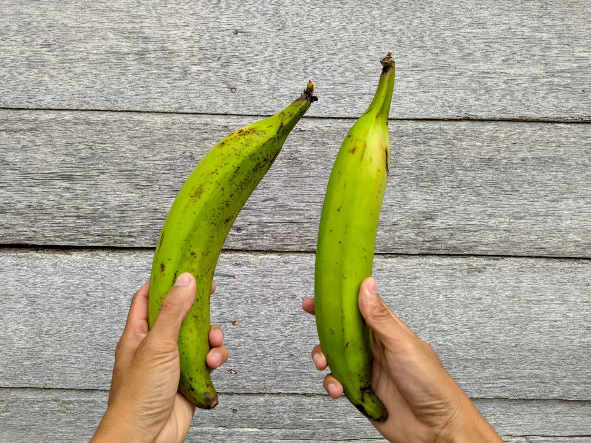 Photo,Holding,Two,Green,Plantains.,Wooden,Background