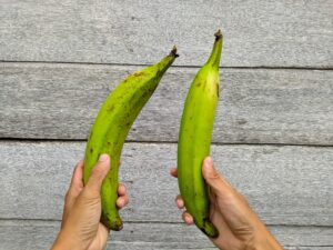Plantains: Πού θα βρείτε στο κέντρο της Αθήνας «μπανάνες» από την Αφρική