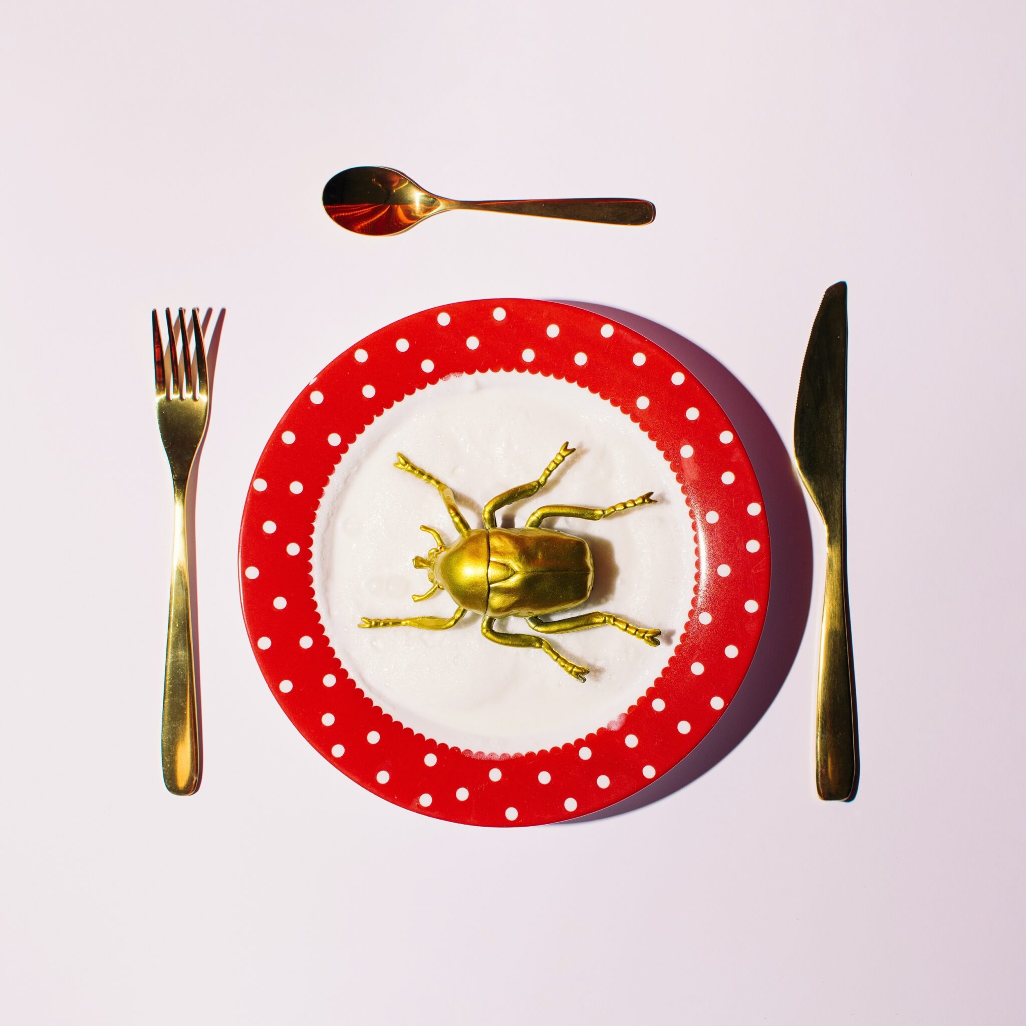 Big,Golden,Bug,In,A,Cute,Polka,Dot,Pattern,Plate.