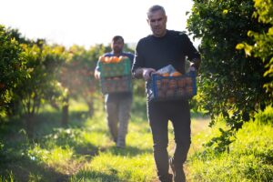 Παγκόσμια Ημέρα Διατροφής 2025: Χέρι με χέρι για καλύτερα τρόφιμα και ένα καλύτερο μέλλον