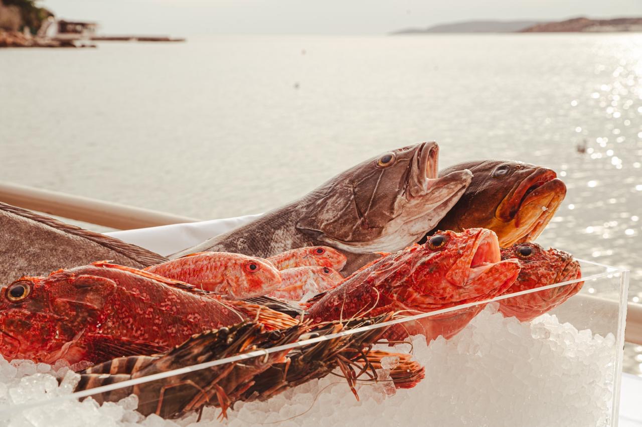 Bluefish Zero Razor Blue Fish: Zero waste ψαροφαγία στο ωραιότερο σημείο της Bουλιαγμένης ...