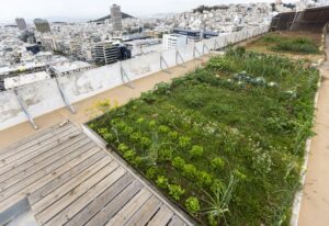 Αστικοί Κήποι: «Κάποτε τα Πατήσια ήταν ένα μικρό χωριό γεμάτο περιβόλια»