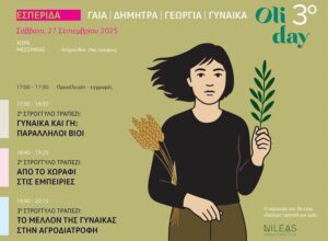 nileas-oliday