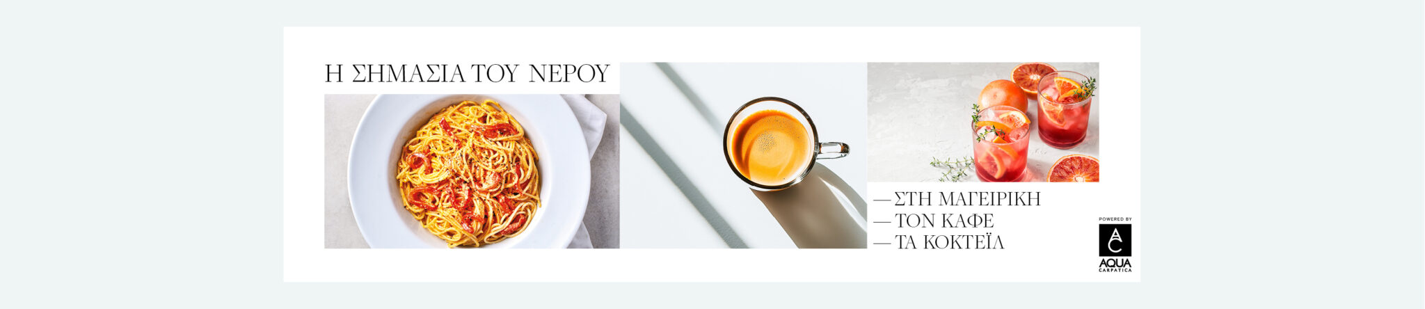 AQUA CARPATICA_3000x650_4