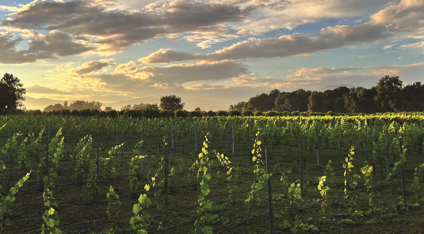 2025 12 JIMAS PARIS_final