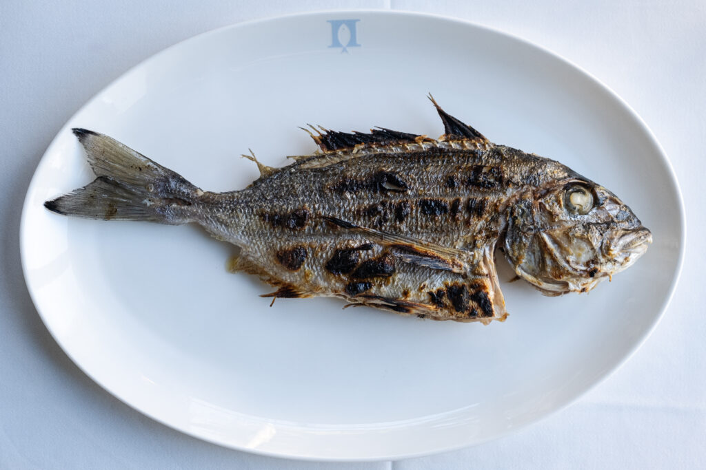 Παπαϊωάννου