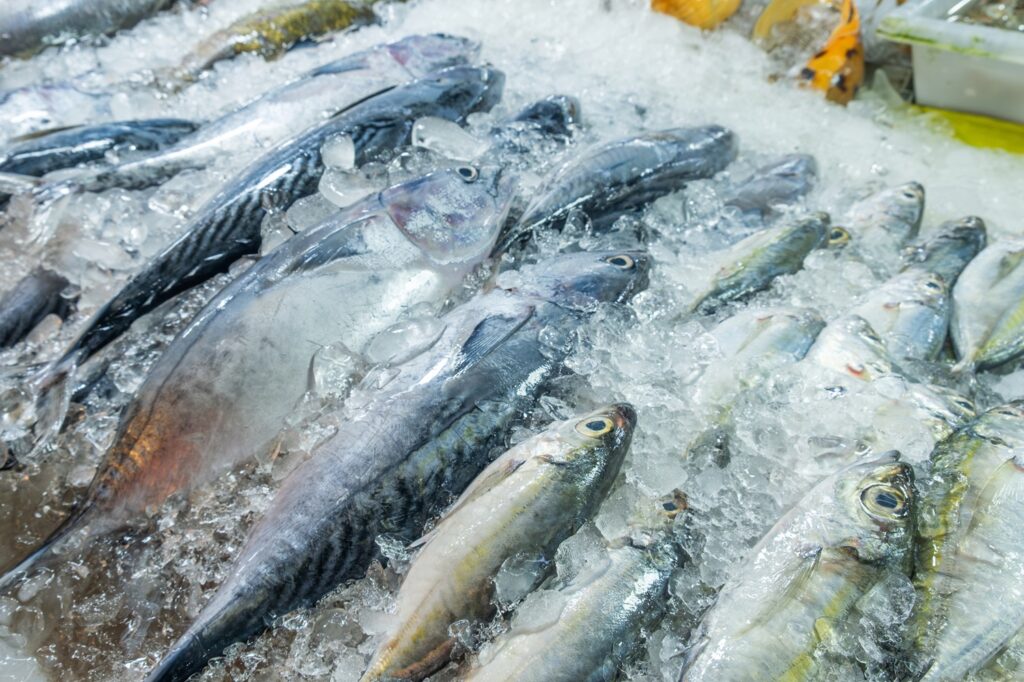 ψάρια και θαλασσινά