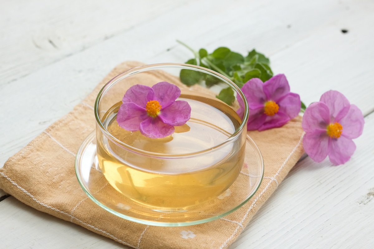 Herbal,Tea,Made,From,Cistus,Incanus,,Known,As,Rock,Rose.