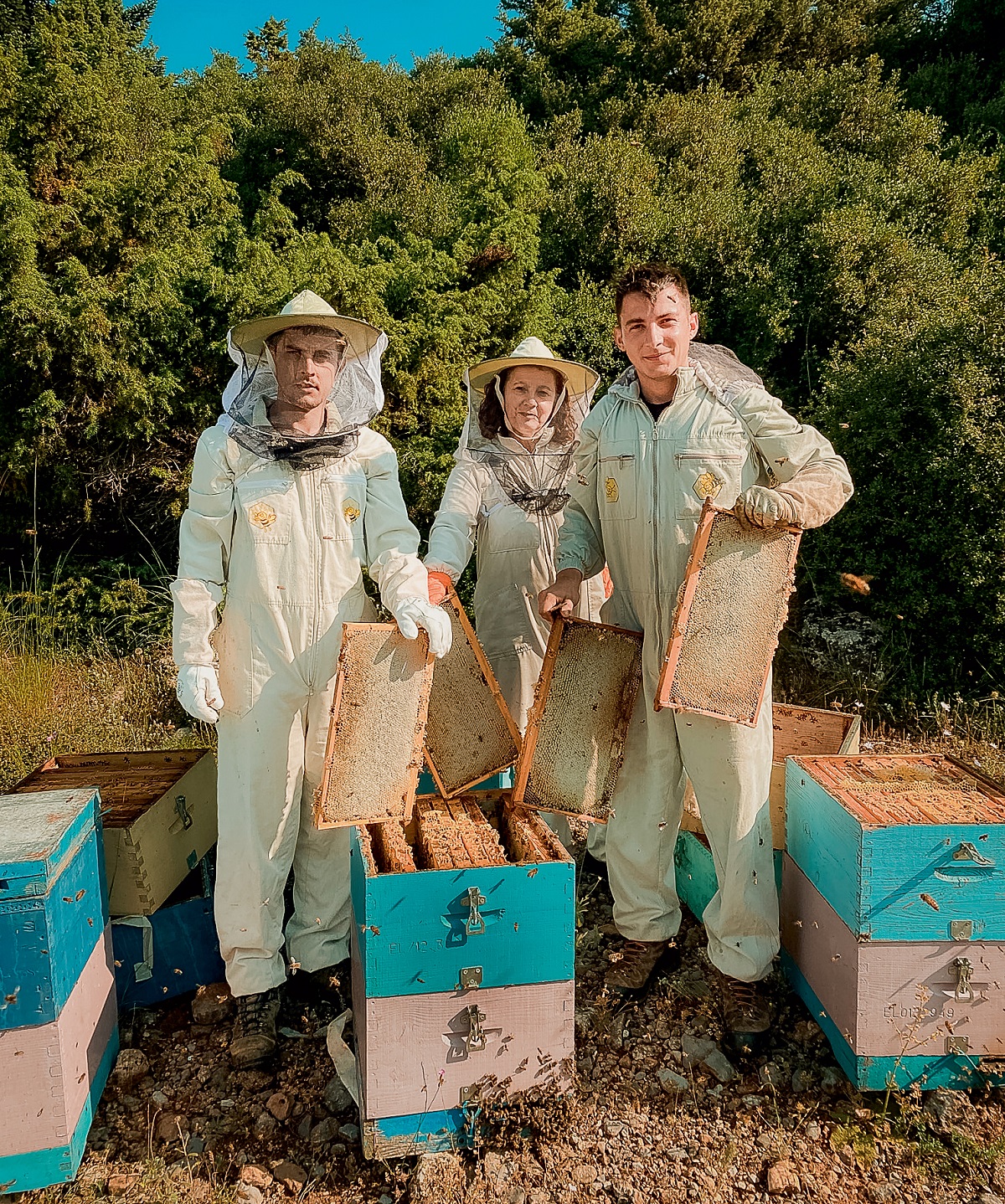 meli-elatis-vanilia-korifi2-anoigma