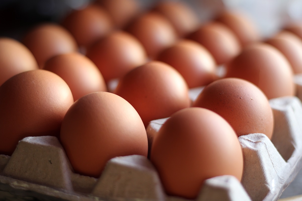 Organic,Brown,Eggs,In,Tray,Or,Egg,Box.,Poultry,Chicken