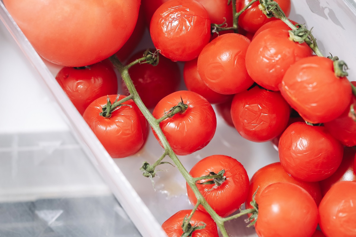 Fresh,Red,Tomatoes,On,Vine.,Ripe,Cherry,Tomatoes,And,Big