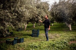 Κτήμα Τομπάζη: Το ιστορικό αγρόκτημα του ναυάρχου του 1821 που παράγει βραβευμένο ελαιόλαδο