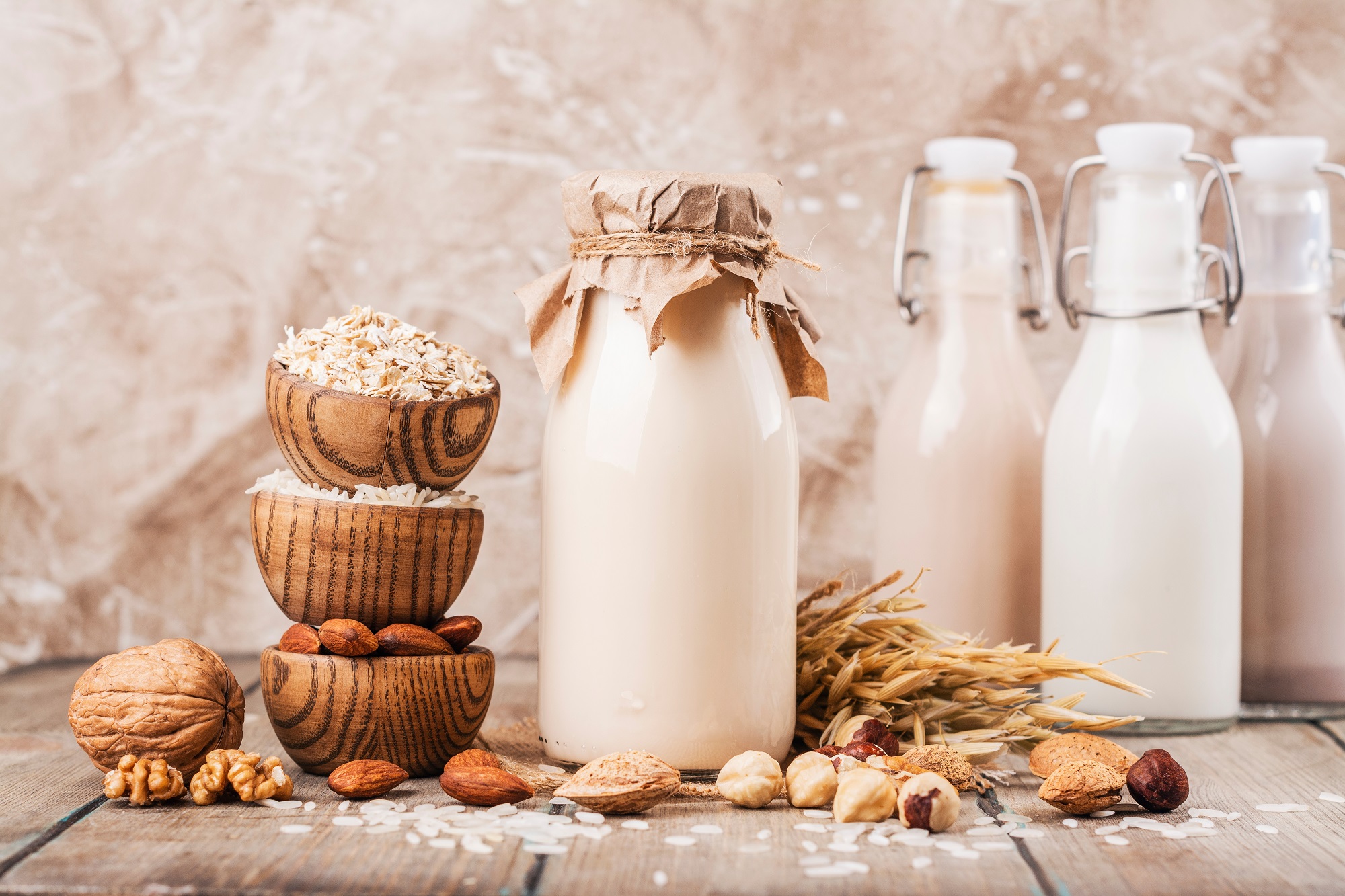 Plant,Based,,Lactose,Free,Milk.,Homemade,Lactotse-free,Milk,With,Ingredients