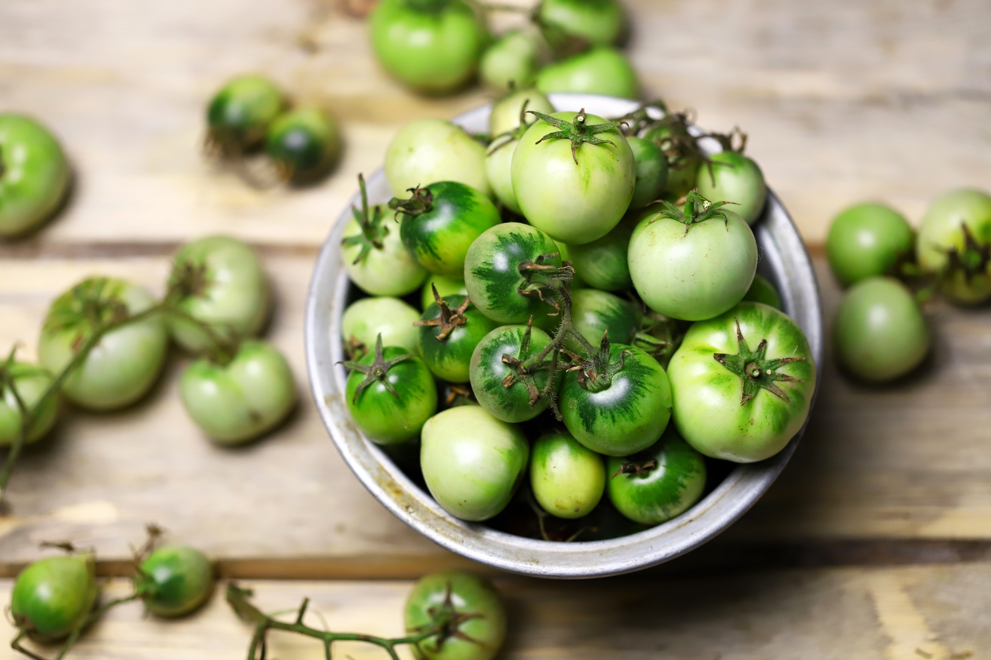 Selective,Focus.,Green,Tomatoes,In,A,Bowl.,Autumn,Tomato,Harvest.